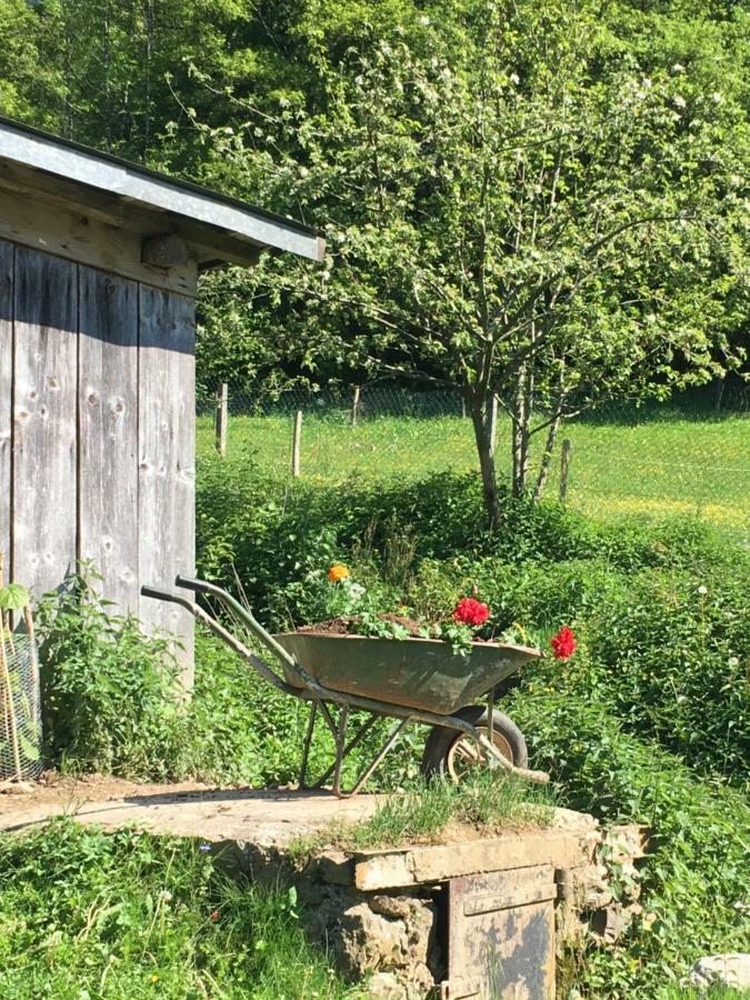 Ferme Familiale Chez Lili *
